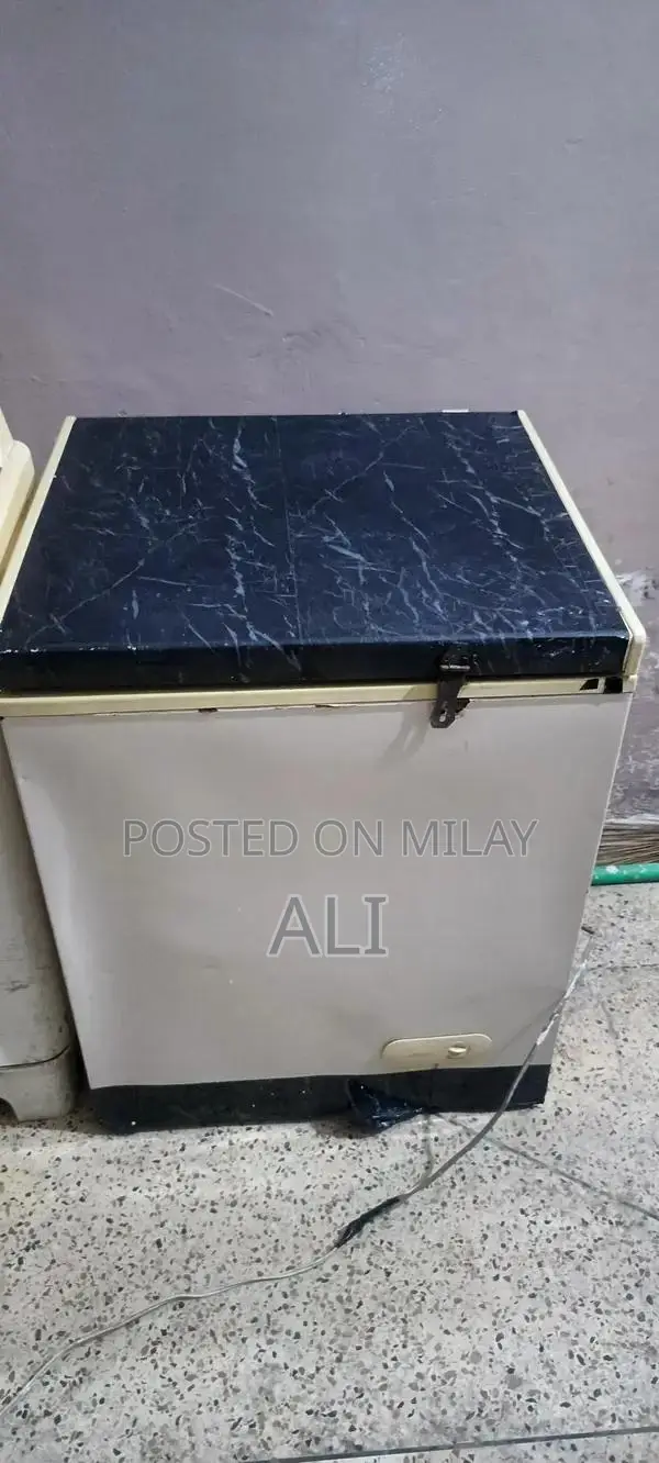 Single Door Deep Freezer with Genuine Compressor