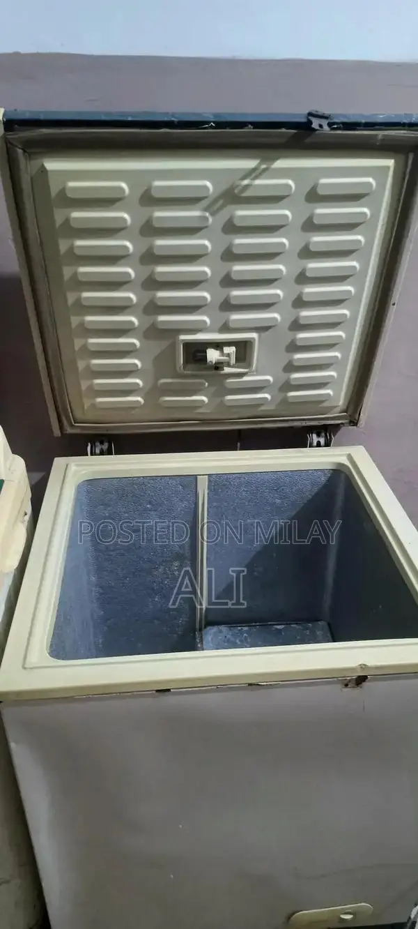 Single Door Deep Freezer with Genuine Compressor