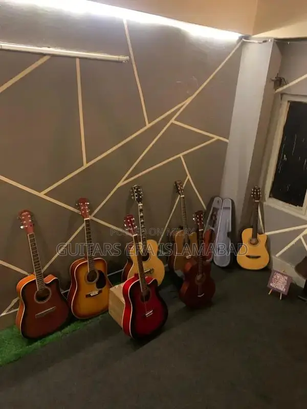 Professional and Beginner Acoustic and Semi-Acoustic Guitars