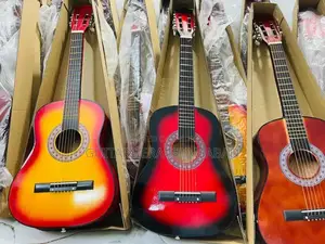 Professional and Beginner Acoustic and Semi-Acoustic Guitars