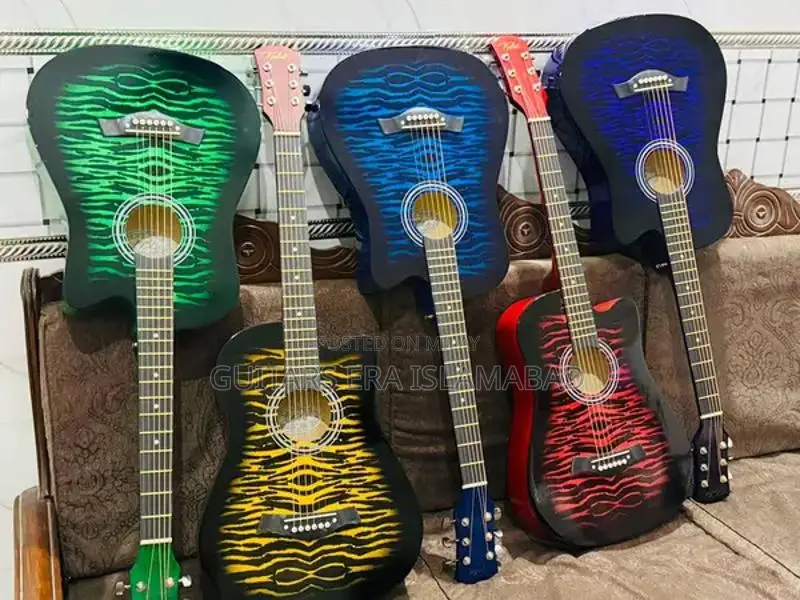 Professional and Beginner Acoustic and Semi-Acoustic Guitars