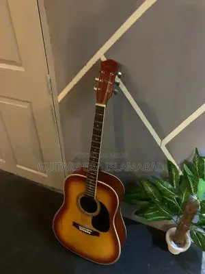 Professional and Beginner Acoustic and Semi-Acoustic Guitars