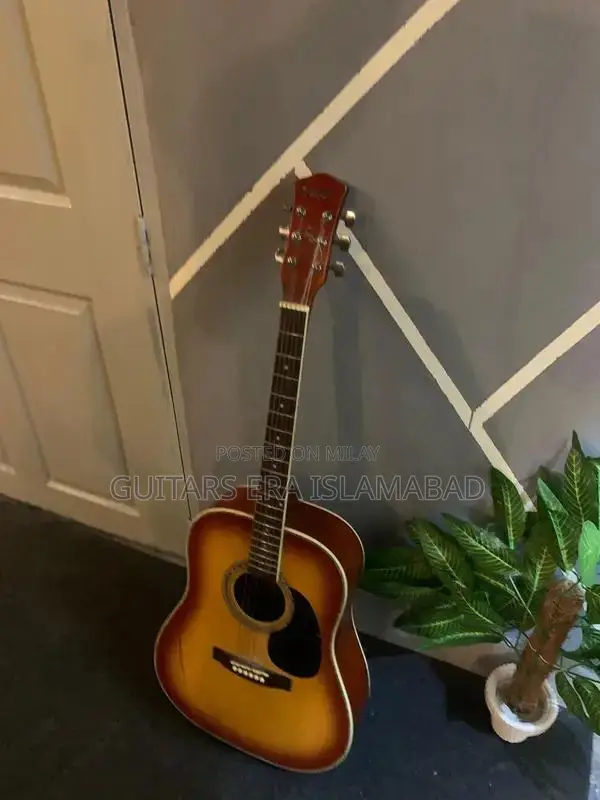 Professional and Beginner Acoustic and Semi-Acoustic Guitars