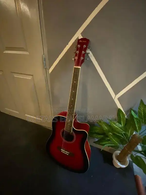 Professional and Beginner Acoustic and Semi-Acoustic Guitars