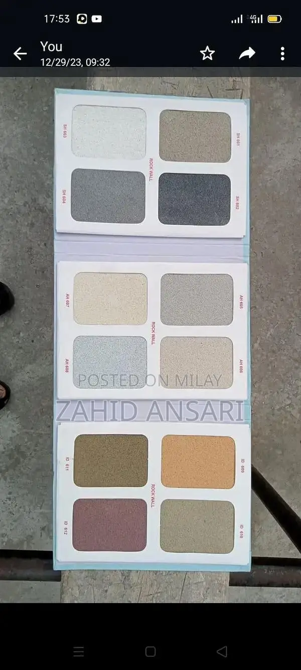 Professional Wall Design & Painting Services