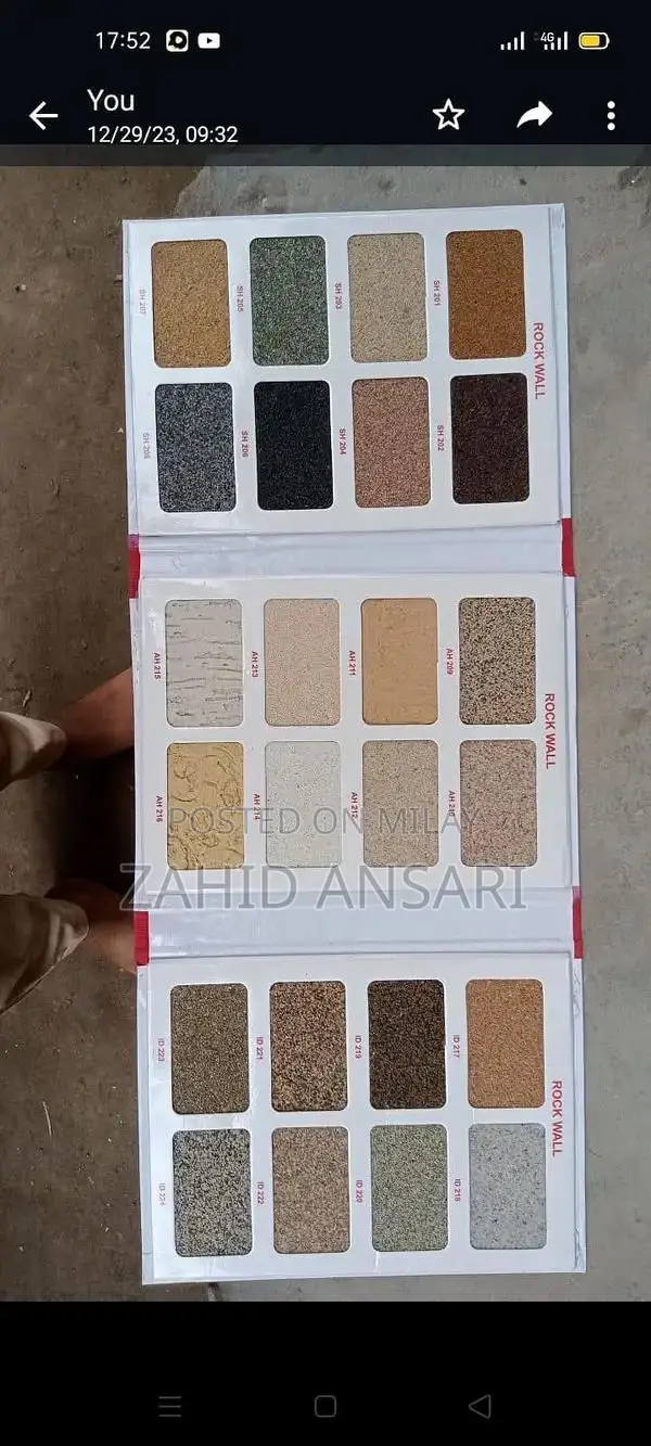 Professional Wall Design & Painting Services