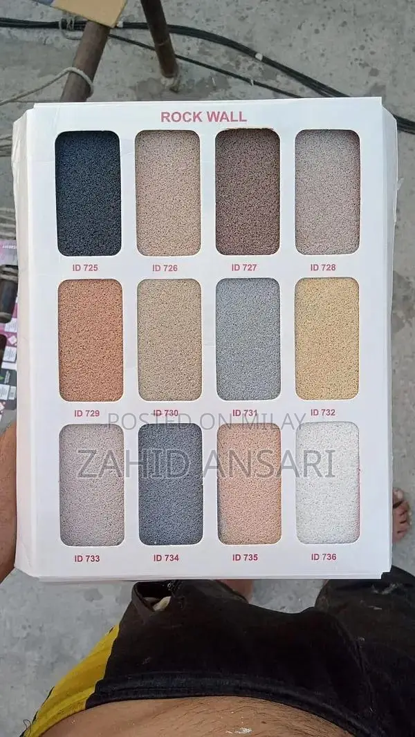 Professional Wall Design & Painting Services