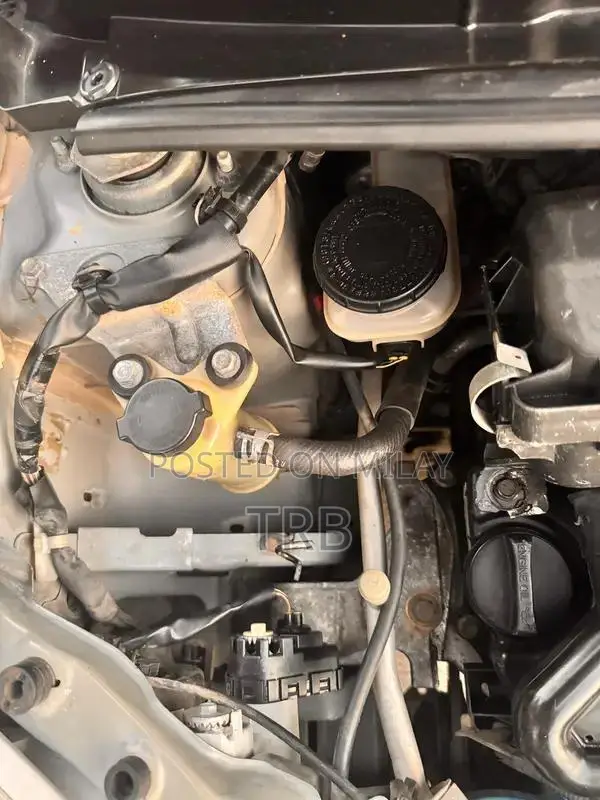 Daihatsu Esse Top Variant Low Mileage Single Hand Used Car