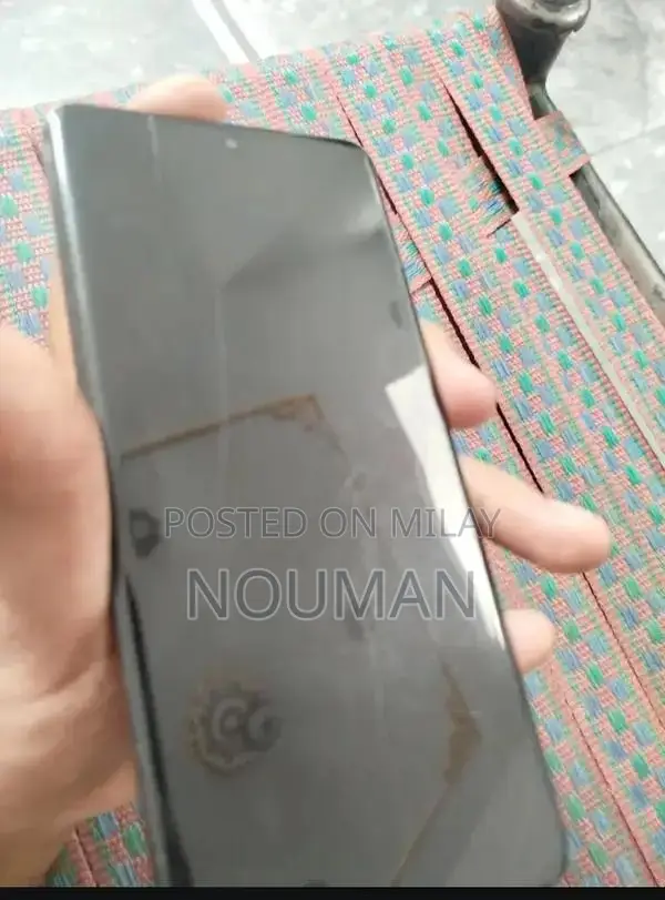 High-Performance Flagship Smartphone with Advanced Camera