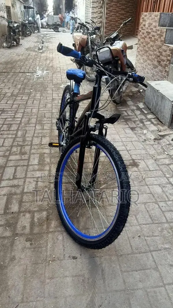 10-Speed Bicycle with New Tires and Brakes