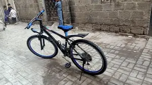 10-Speed Bicycle with New Tires and Brakes