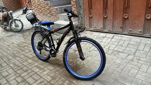 10-Speed Bicycle with New Tires and Brakes