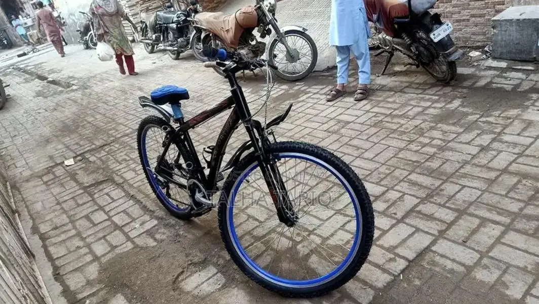 10-Speed Bicycle with New Tires and Brakes