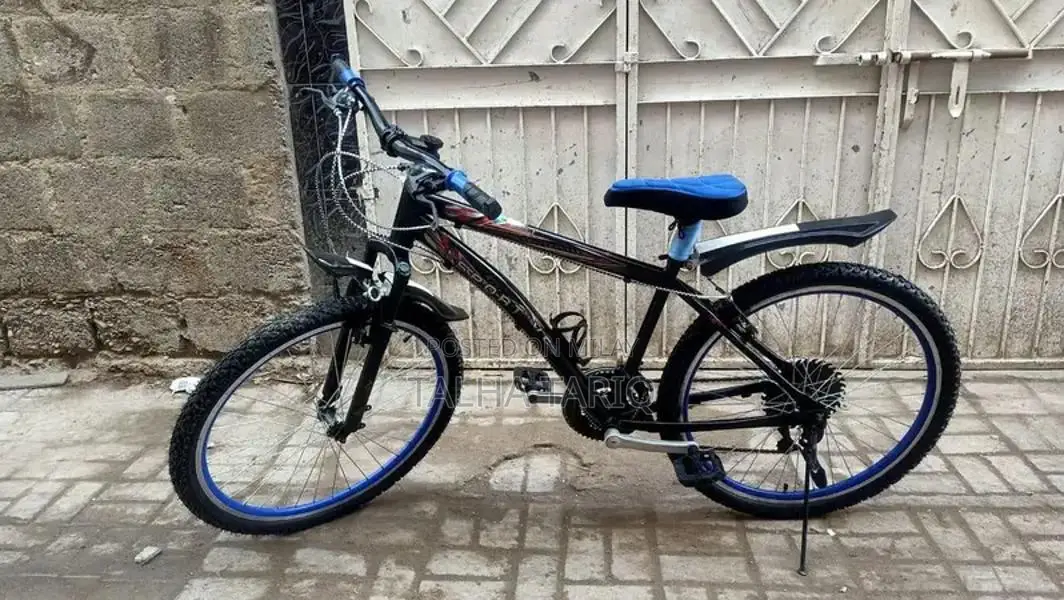 10-Speed Bicycle with New Tires and Brakes