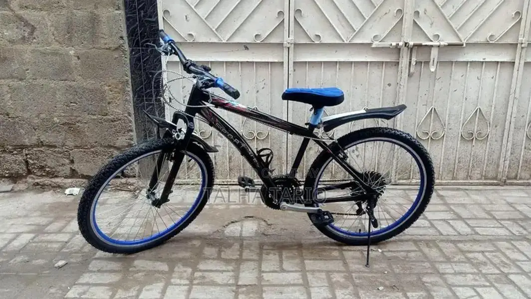 10-Speed Bicycle with New Tires and Brakes
