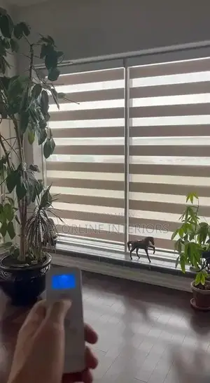 Window Blinds and Decorative Glass Solutions - Interior Design Service