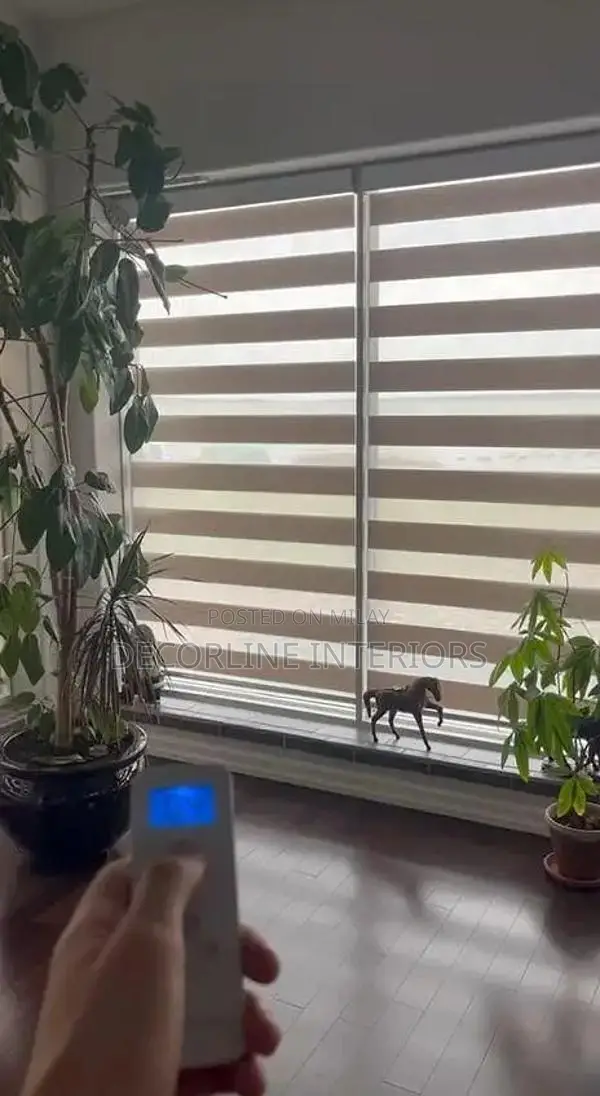 Window Blinds and Decorative Glass Solutions - Interior Design Service