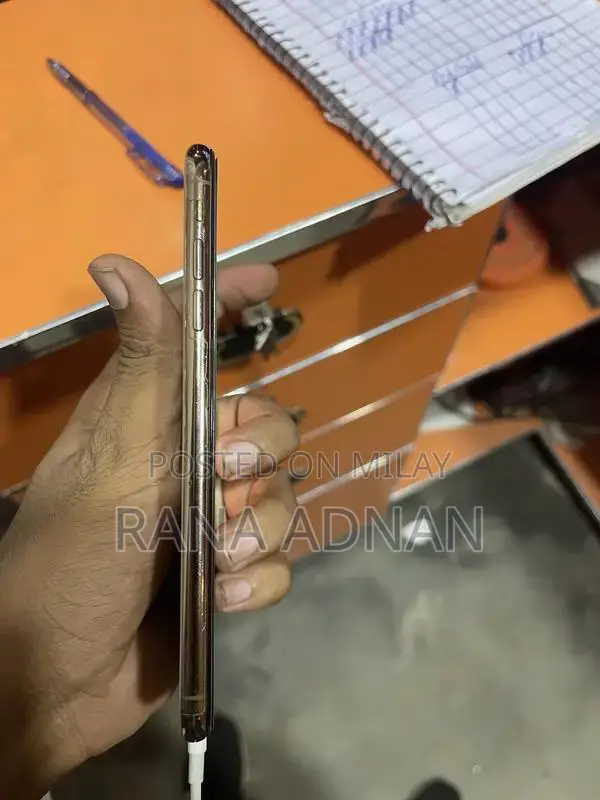 Apple iPhone XS Max 256GB Smartphone with Transparent Case