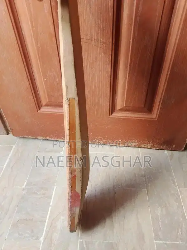 Professional English Willow Cricket Bat for Power Hitting
