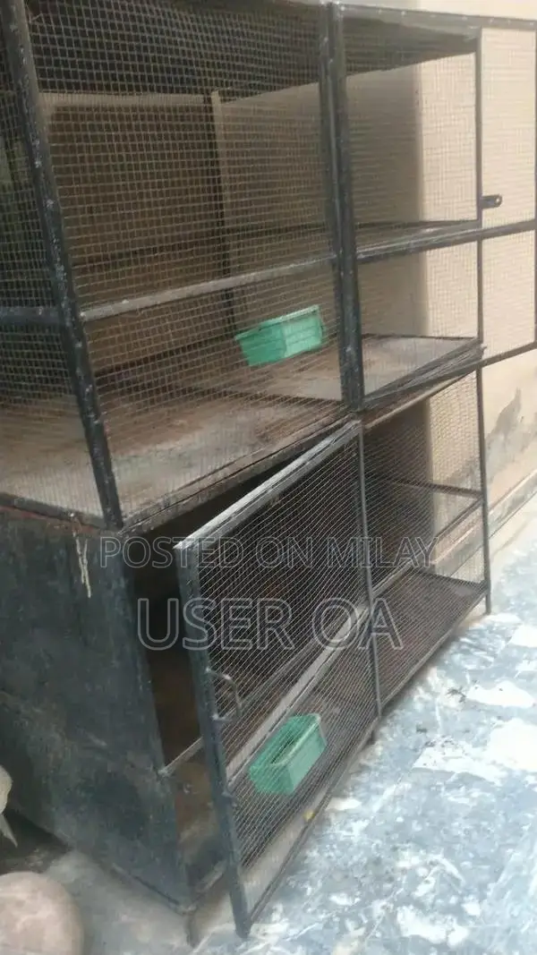 Two-Part Bird Cage for Pet Housing and Care