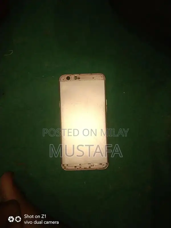 Oppo F1s Smartphone with Panel Issue