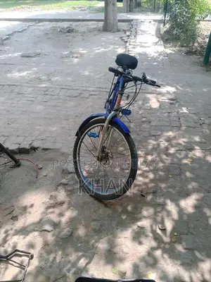 Photo - Disk Brake Bicycle with New Tires and Gears