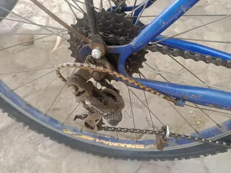 Disk Brake Bicycle with New Tires and Gears