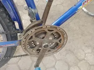 Disk Brake Bicycle with New Tires and Gears