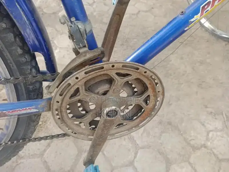 Disk Brake Bicycle with New Tires and Gears