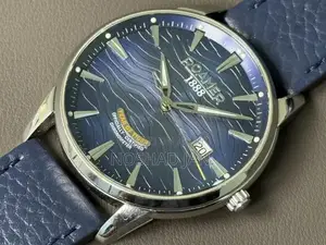 Roamer 1888 Swiss Blue Tiger Dial Automatic Chronometer Watch