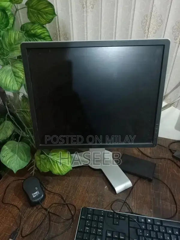 Dell Monitor - Slightly Dusty but Functional Display