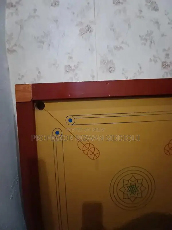 Durable Plastic Chairs - Multi-Color School and Home Seating