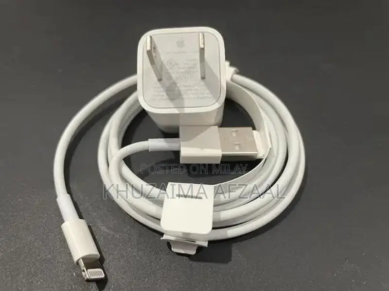 Original iPhone Charger and Cable Accessory