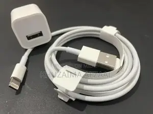 Original iPhone Charger and Cable Accessory