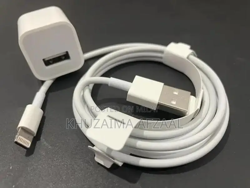 Original iPhone Charger and Cable Accessory