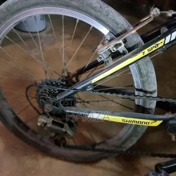 Well-Maintained Used Bicycle for Sale