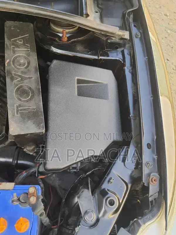 Toyota Corolla Sedan with Android Screen and Special Rims