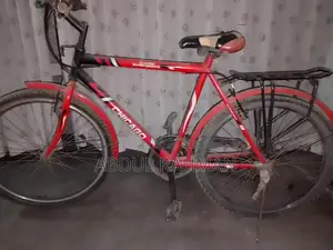 Photo - Chicago Genuine Cycle Road Bike with Gearing System