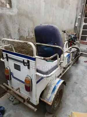 Photo - Specialized Bicycle for Individuals with Mobility Challenges