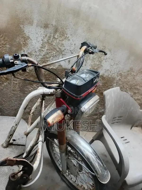 Specialized Bicycle for Individuals with Mobility Challenges