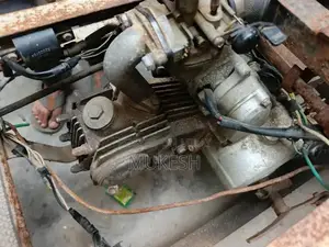 Specialized Bicycle for Individuals with Mobility Challenges