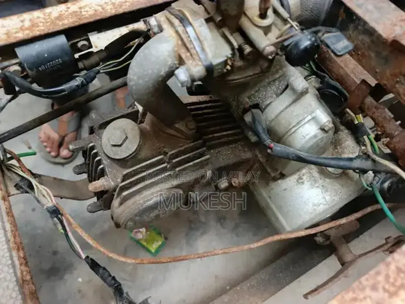 Specialized Bicycle for Individuals with Mobility Challenges