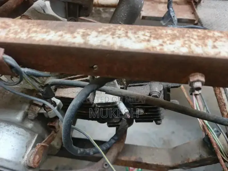 Specialized Bicycle for Individuals with Mobility Challenges