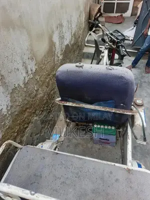 Specialized Bicycle for Individuals with Mobility Challenges