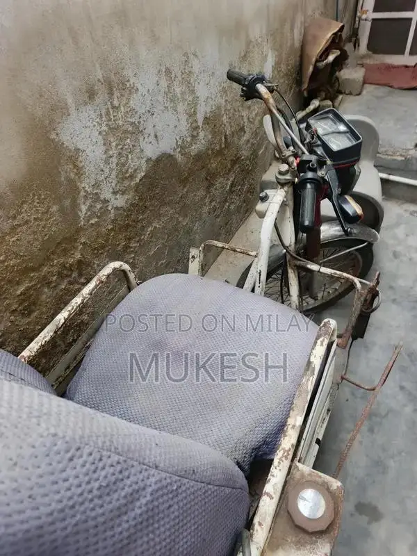 Specialized Bicycle for Individuals with Mobility Challenges