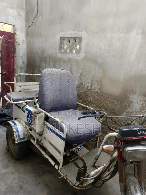 Specialized Bicycle for Individuals with Mobility Challenges