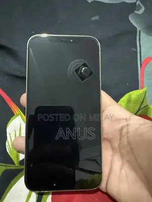 Apple iPhone 12 Pro Max - Dual SIM, White Gold Edition