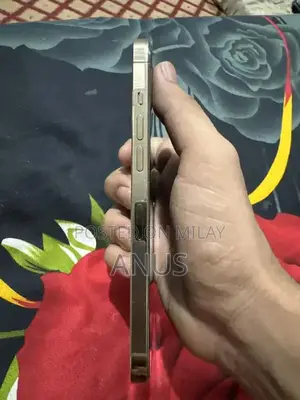 Apple iPhone 12 Pro Max - Dual SIM, White Gold Edition