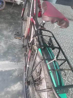 Speed Cycles Performance Bicycle