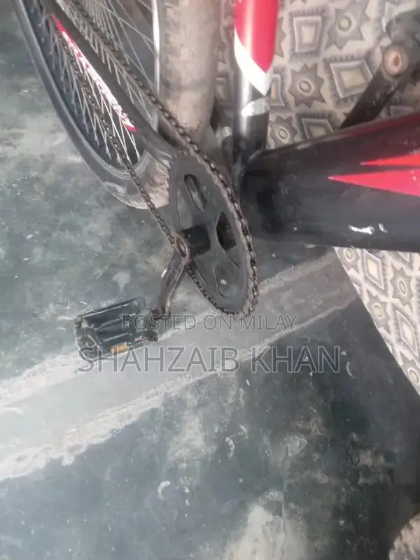 Speed Cycles Performance Bicycle